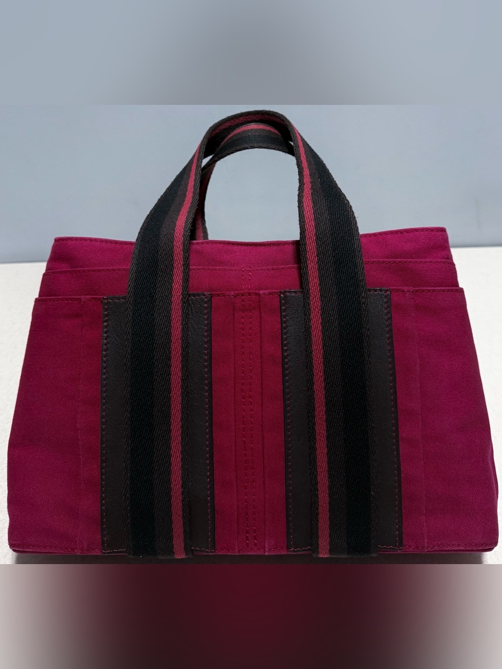 Hermes Troca Horizontal PM Canvas Handbag - Picture 3 of 16